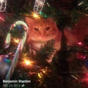 Meet your Posher, Benjamin